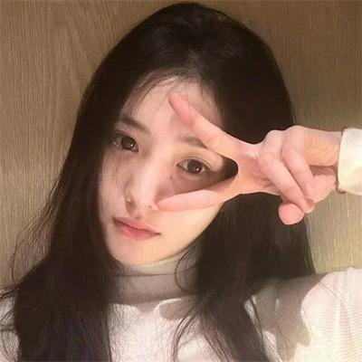 极地熊踪